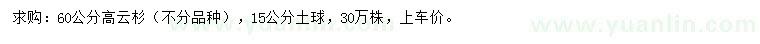 求購高60公分云杉