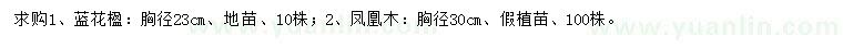 求購(gòu)胸徑23公分藍(lán)花楹、30公分鳳凰木