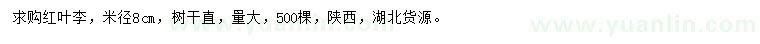 求購米徑8公分紅葉李