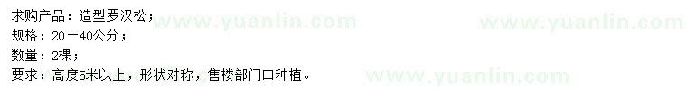 求購(gòu)20-40公分造型羅漢松