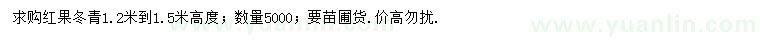 求購高1.2-1.5米紅果冬青