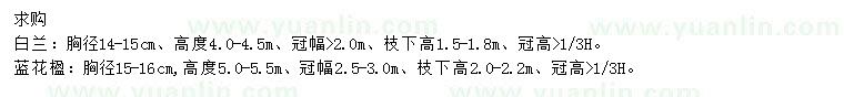 求購(gòu)胸徑14-15公分白蘭、15-16公分藍(lán)花楹