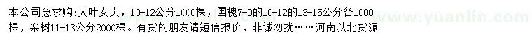求購大葉女貞、國槐、欒樹