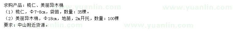求購7-8公分欖仁、18公分美麗異木棉