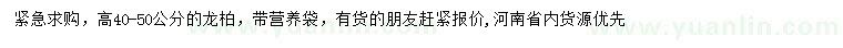 求購(gòu)高40-50公分龍柏