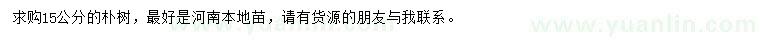 求購15公分樸樹