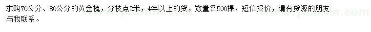 求購70、80公分黃金槐