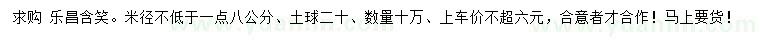 求購米徑1.8公分以上樂昌含笑