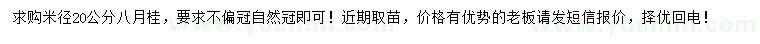 求購米徑20公分八月桂