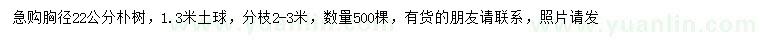 求購胸徑22公分樸樹(shù)
