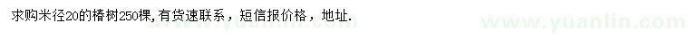 求購米徑20公分椿樹(shù)