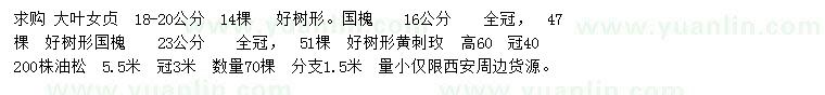 求購(gòu)大葉女貞、國(guó)槐、黃刺玫等