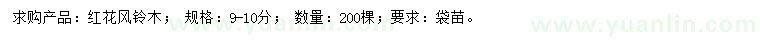 求購(gòu)9-10公分紅花風(fēng)鈴木