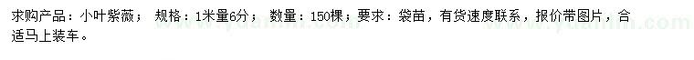 求購1米量6公分小葉紫薇