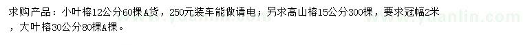 求購小葉榕、高山榕、大葉榕