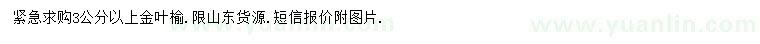 求購(gòu)3公分以上金葉榆
