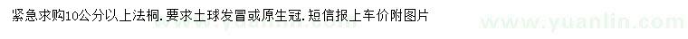 求購10公分以上法桐