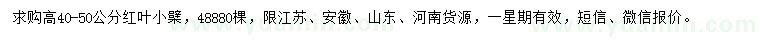 求購高40-50公分紅葉小檗