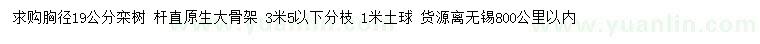 求購胸徑19公分欒樹(shù)