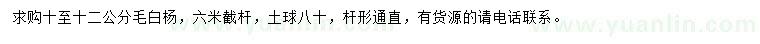 求購10-12公分毛白楊