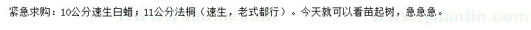 求購10、11公分速生白蠟