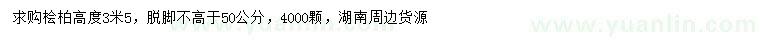 求購(gòu)高3.5米檜柏