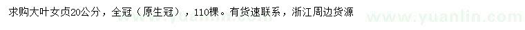 求購20公分大葉女貞