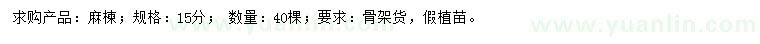 求購15公分麻楝