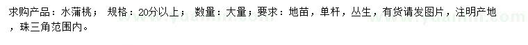 求購20公分以上水蒲桃