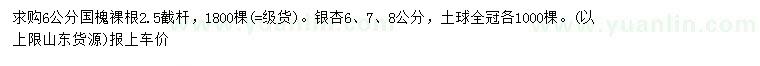求購(gòu)6公分國(guó)槐、6、7、8公分銀杏