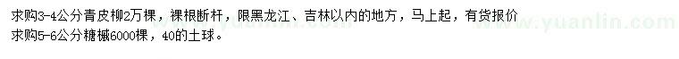 求購3-4公分青皮柳、5-6公分糖槭