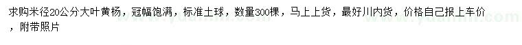 求購米徑20公分大葉黃楊