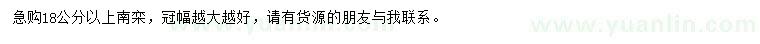 求購18公分以上南欒