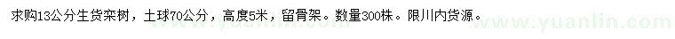求購(gòu)13公分欒樹(shù)