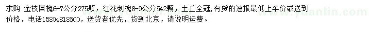 求購(gòu)6-7公分金枝國(guó)槐、8-9公分紅花刺槐