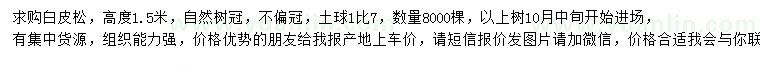 求購(gòu)高1.5米白皮松