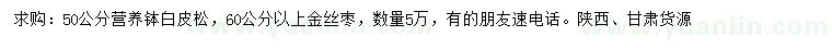 求購(gòu)高50公分白皮松、60公分以上金絲棗