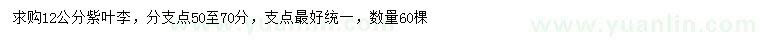 求購(gòu)12公分紫葉李