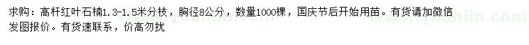 求購(gòu)胸徑8公分高桿紅葉石楠