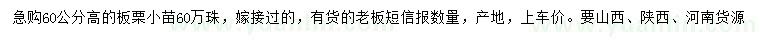 求購高60公分板栗小苗