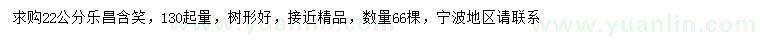求購(gòu)22公分樂昌含笑