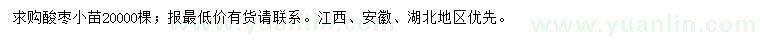求購酸棗小苗