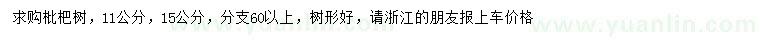 求購11、15公分枇杷樹