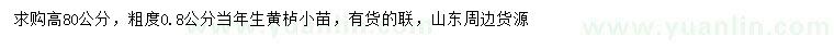 求購0.8公分黃櫨小苗
