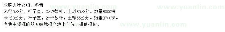 求購米徑5公分大葉女貞、冬青