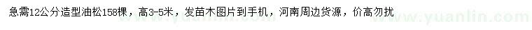 求購12公分造型油松