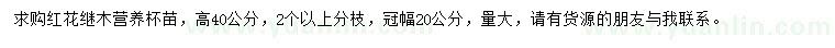 求購高40公分紅花繼木