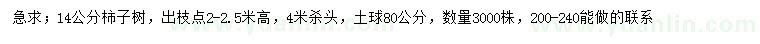 求購(gòu)14公分柿子樹(shù)