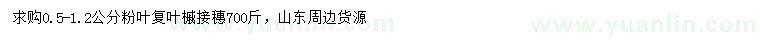 求購0.5-1.2公分粉葉復葉槭接穗