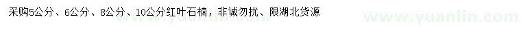 求購5、6、8、10公分紅葉石楠
